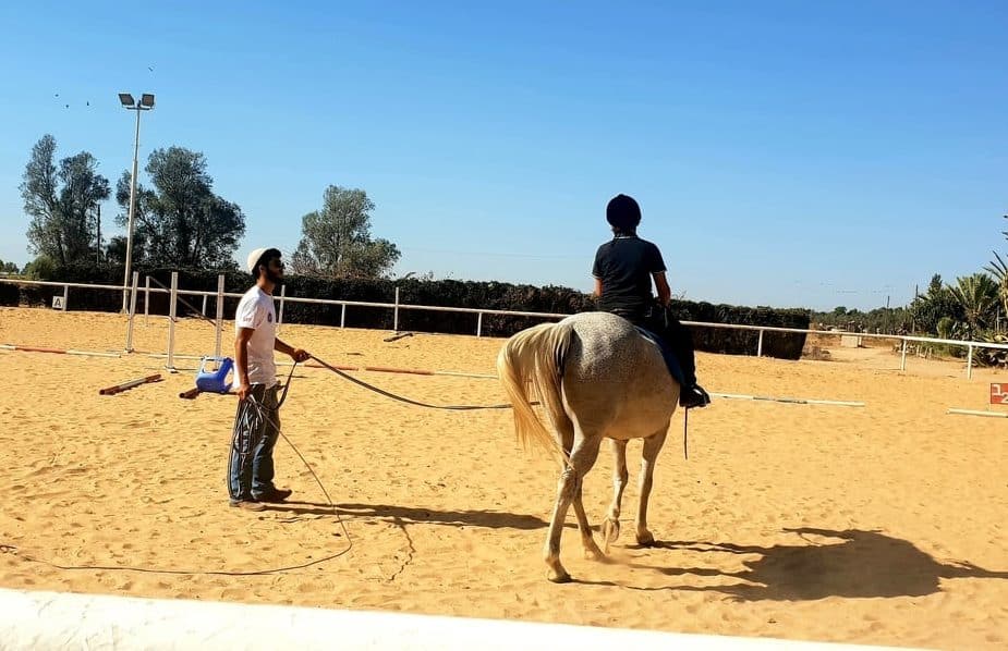 therapy for PTSD with hoarse riding