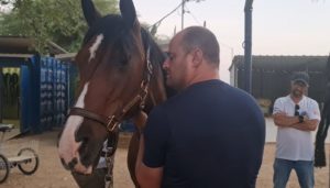 therapy with a horse for a soldier with ptsd